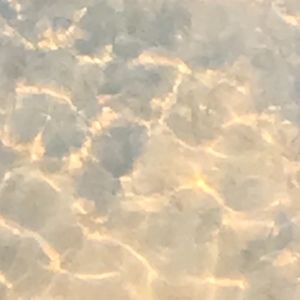 Meet your Posher, Annabelle